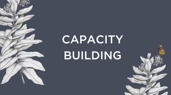 A blue box with milkweed plant illustrations framing the words "Capacity Building."