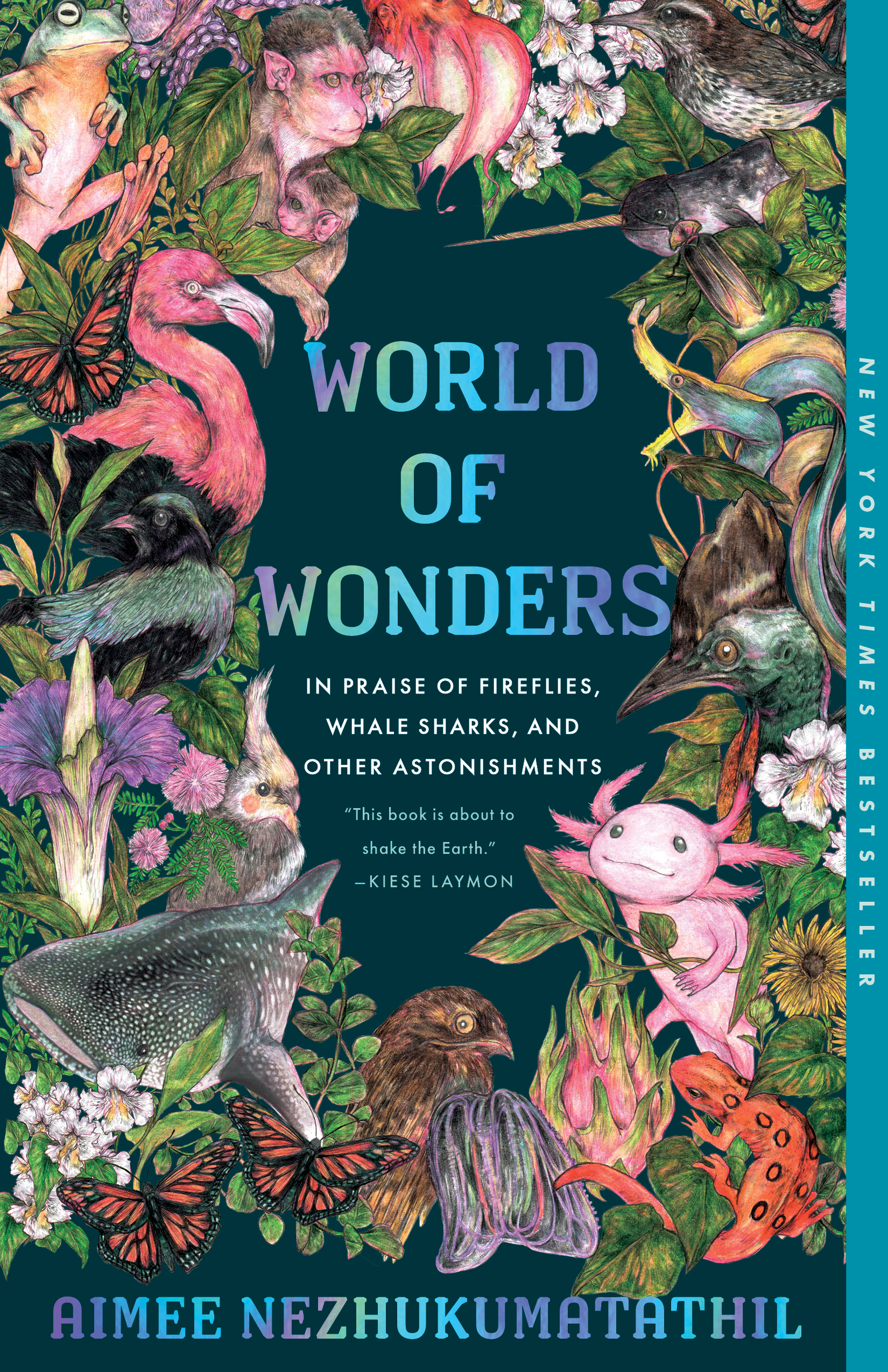 The Earth Book: A world of exploration and wonder