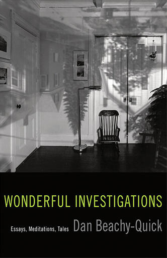 Wonderful Investigations: Essays, Meditations, Tales 