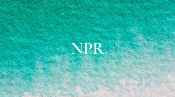 Listen: Elizabeth Rush as a featured guest on NPR Morning Edition.